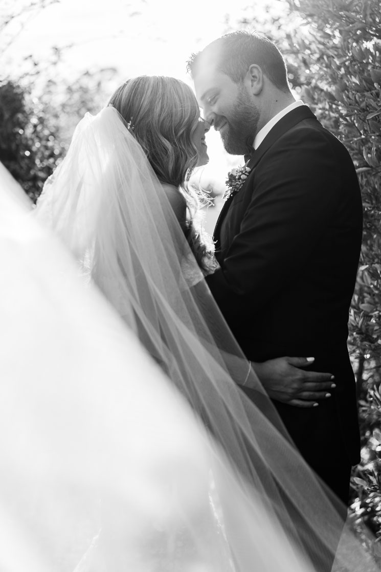 Tiffany and Josh Napa Valley Wedding Photo